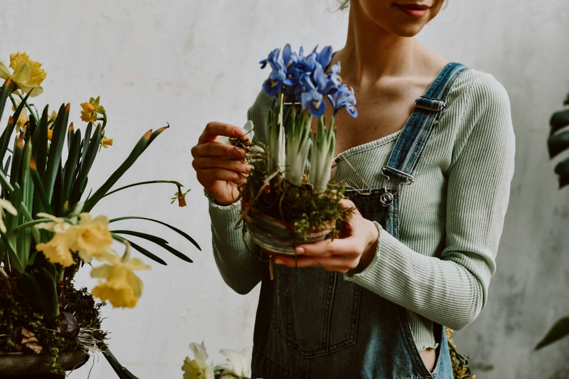 ako-pestovat-bylinky